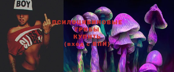 трава Михайловка