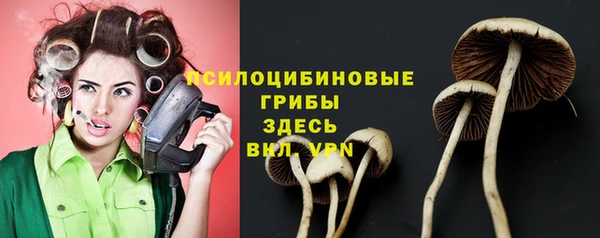 молекула духа Михайлов