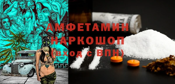 молекула духа Михайлов