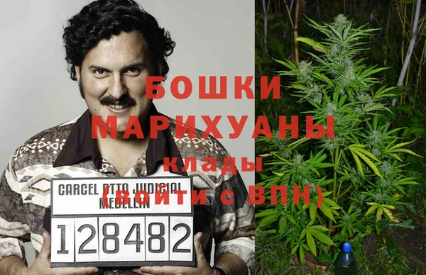 молекула духа Михайлов