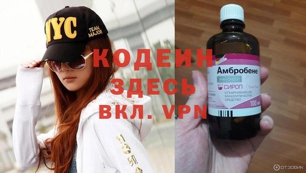 молекула духа Михайлов