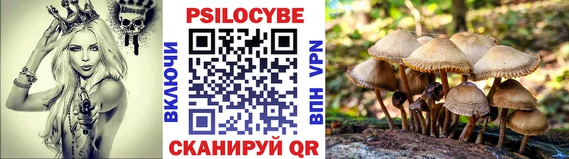 MEGA ссылки Галич Галлюциногенные грибы мухоморы где купить